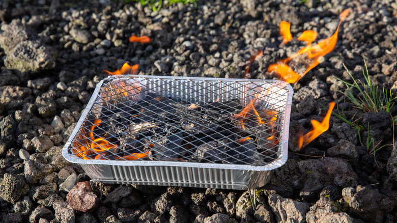 Disposable grill with visible flame