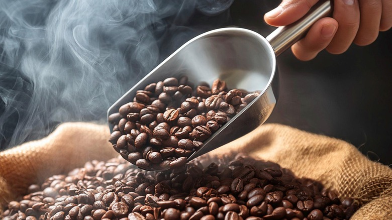 Hand scooping coffee beans out of burlap sack