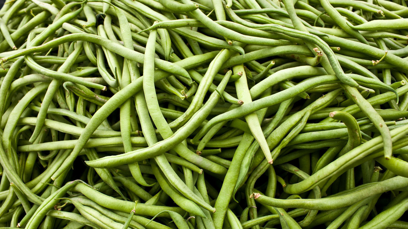 What's the Difference Between Haricot Verts and Green Beans?