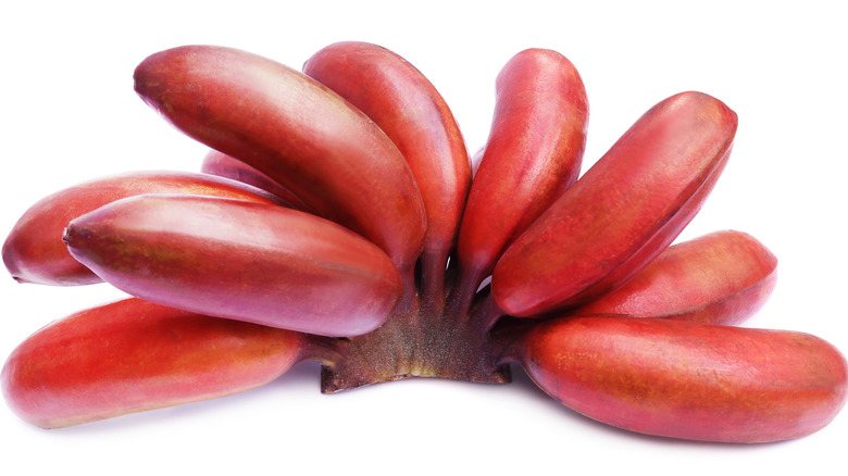 red banana bunch spread out