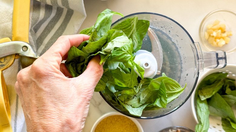 adding basil to food processor