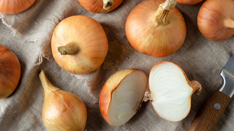 organic onions on linen sackcloth