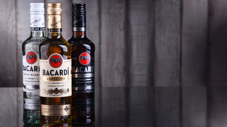 Three different bottles of Bacardi