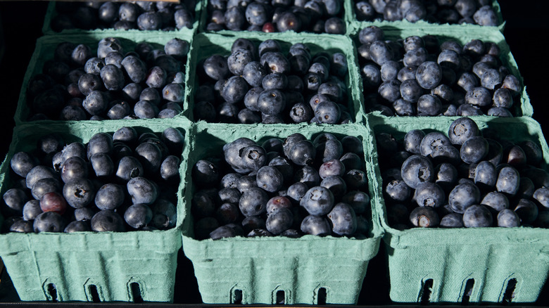 Blueberries in teal cartons