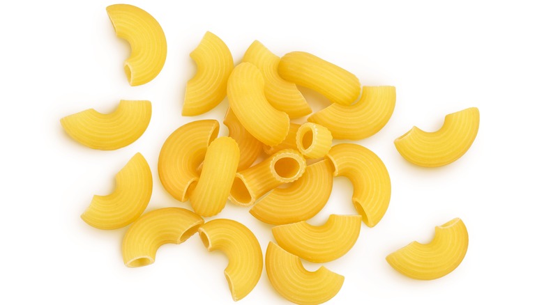 rigatoni pasta isolated