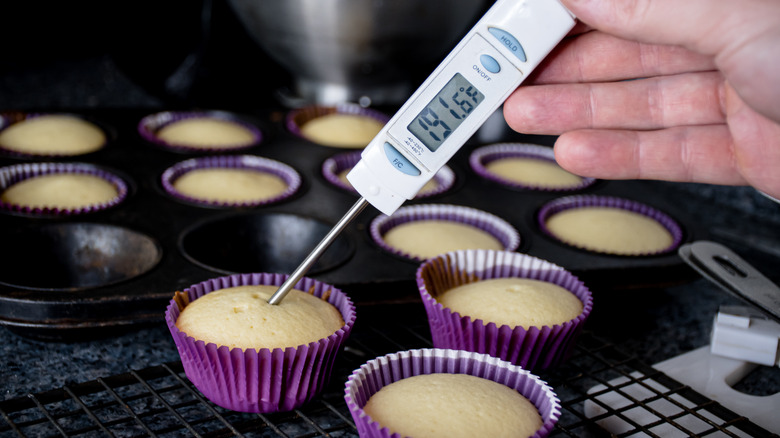 https://www.tastingtable.com/img/gallery/baking-is-even-easier-with-a-meat-thermometer-on-hand/intro-1700592755.jpg