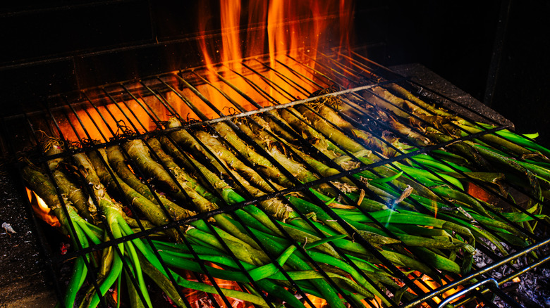 Calçots grilling over a flaming fire