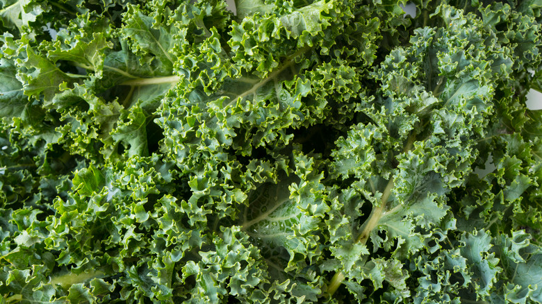 bunches of kale