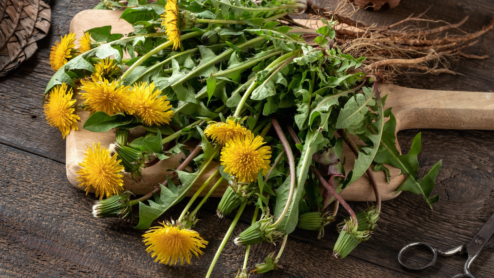 Before Throwing Out Dandelion Flowers, Add The Petals To Your Honey