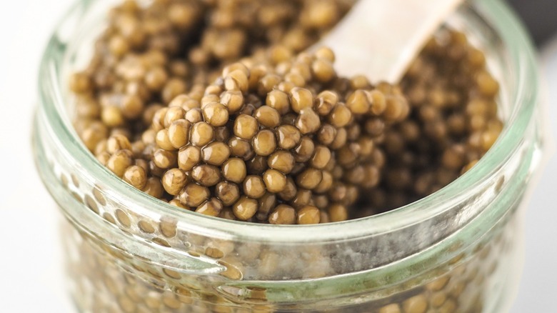 Close-up of a jar of yellowish-brown osetra caviar