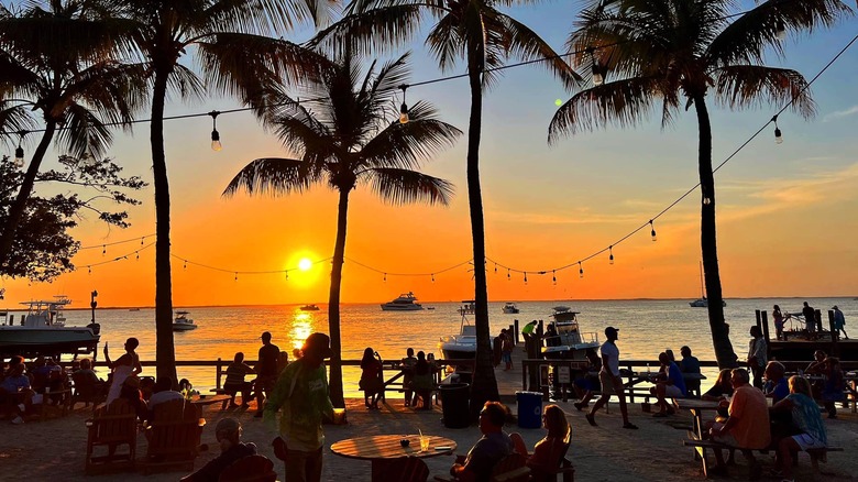 Sunset on a patio with palms