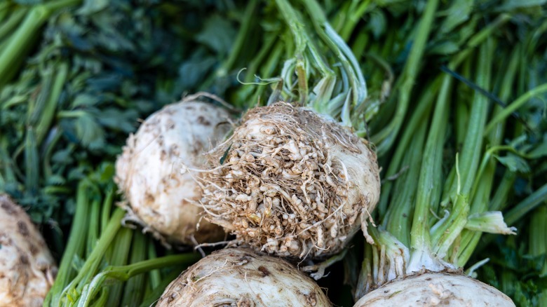 Fresh celery root