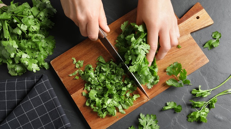 Chopped cilantro leaves