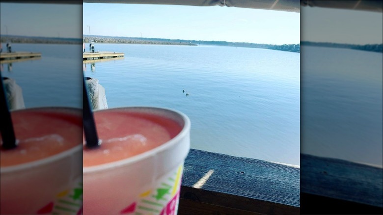 Pink Pelican by the bay