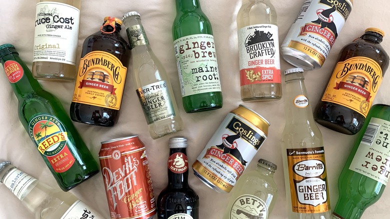 The 12 Best Ginger Beers And Our Favorite Ways To Use Them
