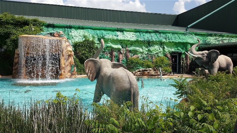 Jungle Jim's waterfall display