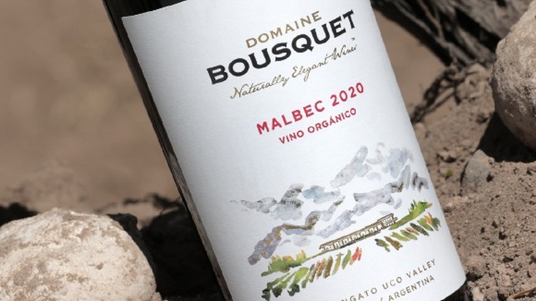 Domaine Bousquet malbec