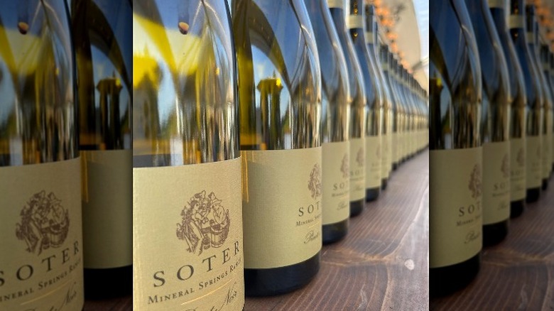 Soter MSR pinot noir