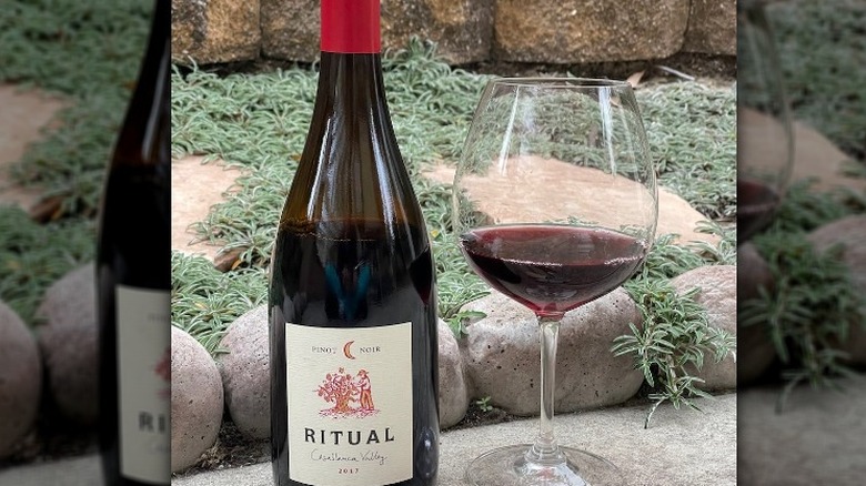 Ritual pinot noir