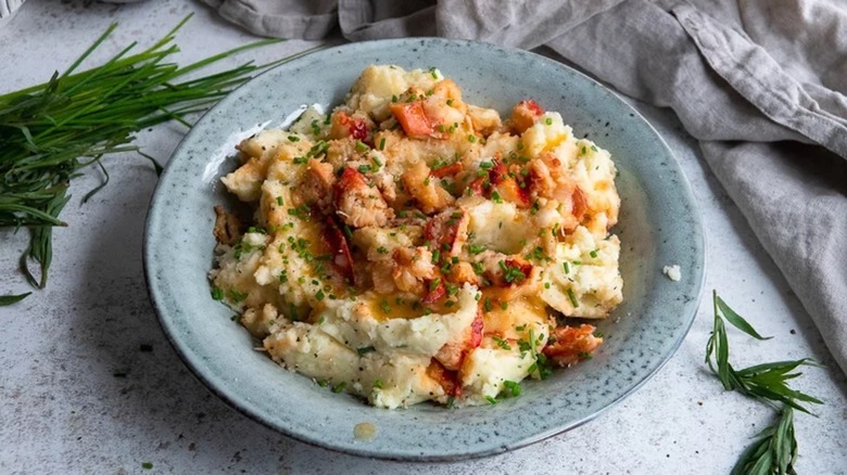 Lobster on mashed potatoes