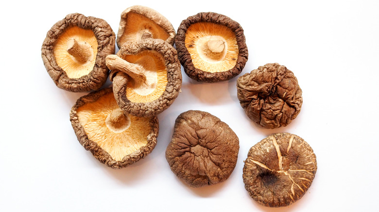 dried shiitake mushrooms on a white background