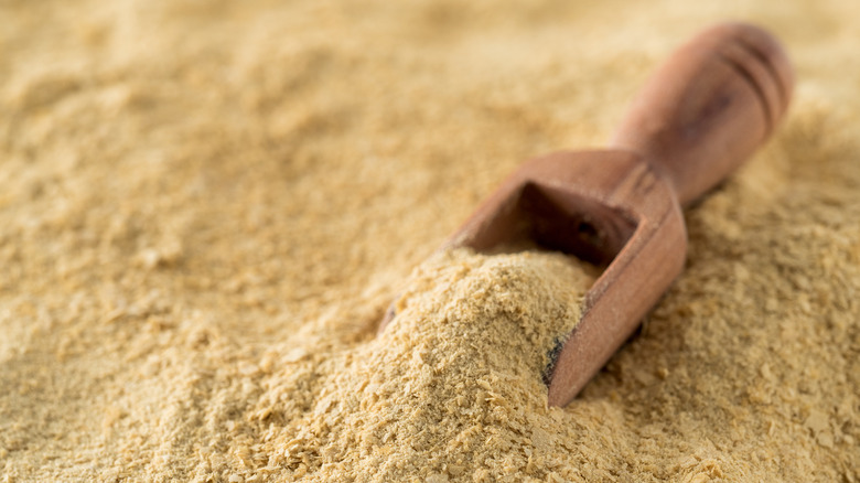 small wooden scoop in nutritional yeast