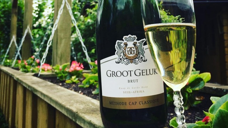 Groot Geluk wine and glass