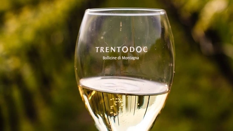 Trentodoc sparkling wine in glass