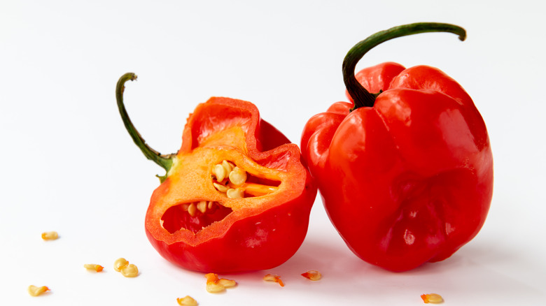 Habanero pepper broken apart