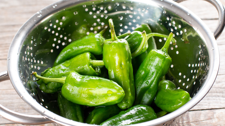 Padron peppers in colander 