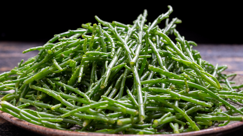 A plate of salicornia