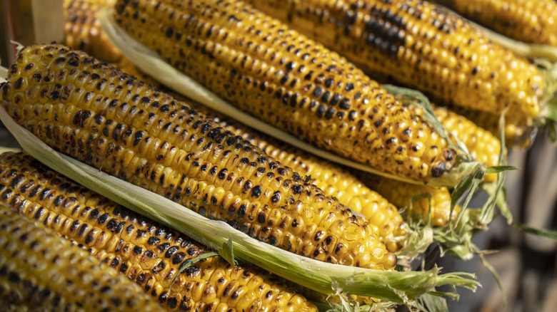 Roasted corn on the cob