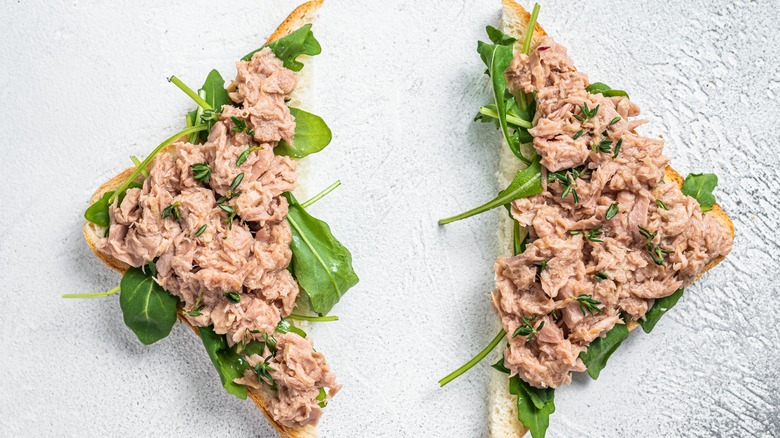 tuna salmon salad open-faced sandwich