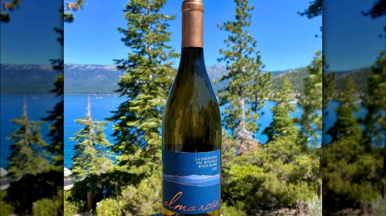 Alma Rosa wine bottle over lake