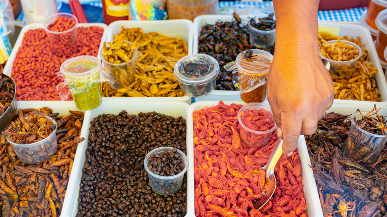 Street stall selling bugs