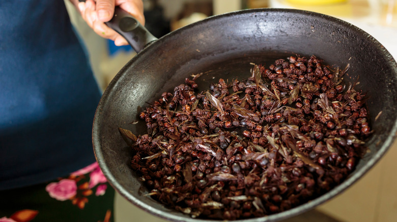 Pan roasted ants