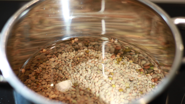 Green lentils soaking in a pot of water 