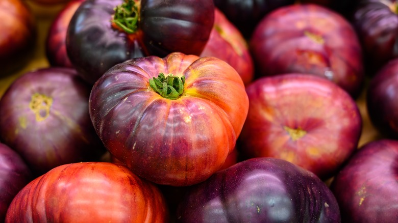 Dark purple-red tomatoes