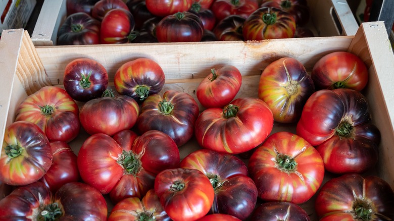 Black tomatoes in box