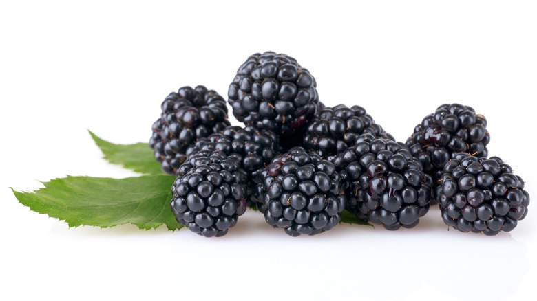 Close-up of blackberries and a leaf on a white background