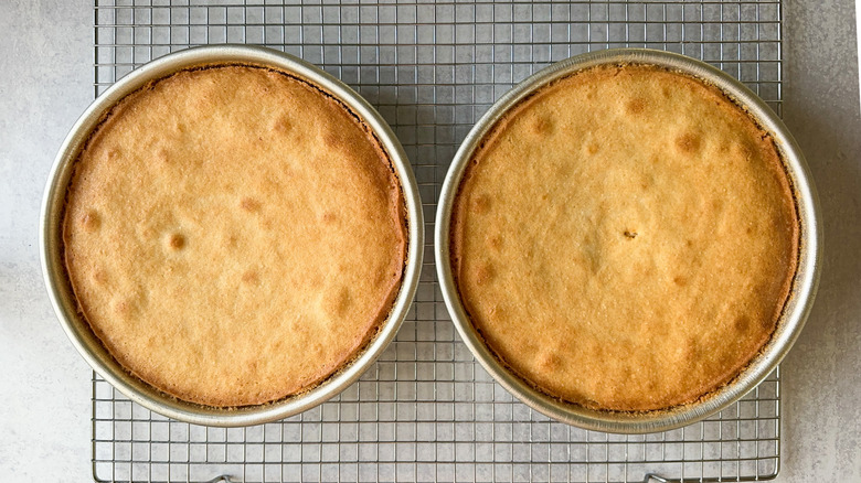 Chantilly cake layers cooling in round cake pans on rack