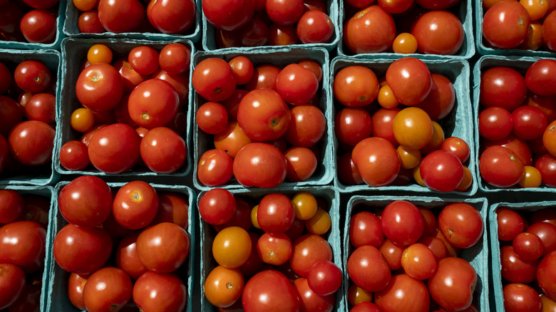 Boxes of cherry tomatoes