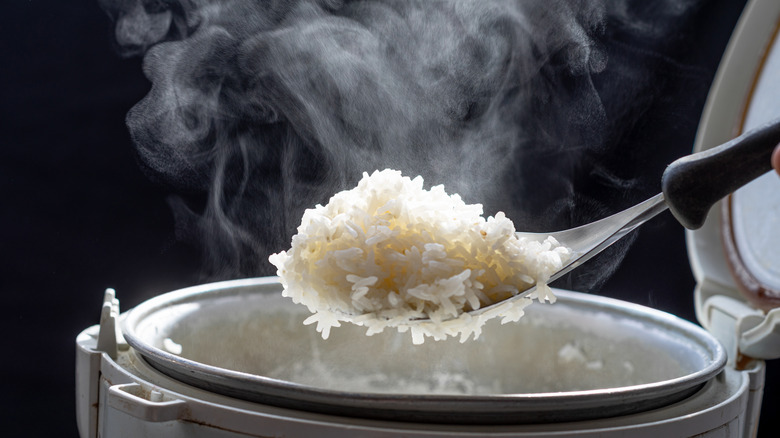 spoonful of steaming rice from a rice cooker