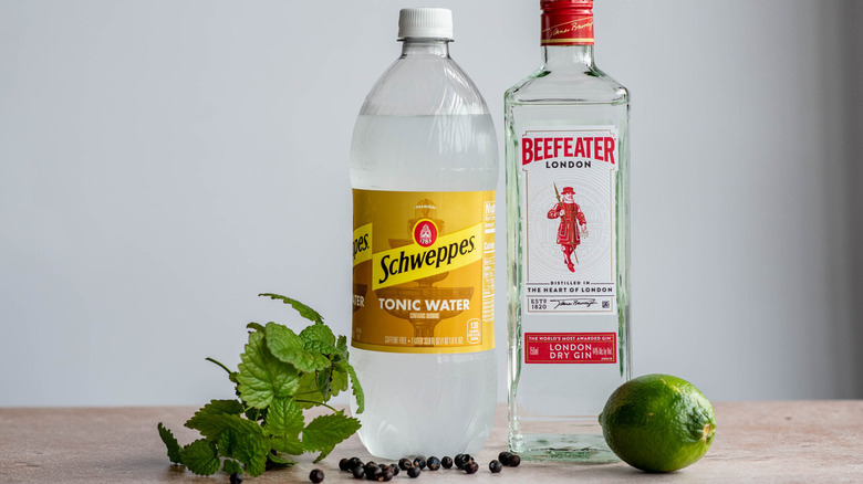 ingredients for gin and tonic