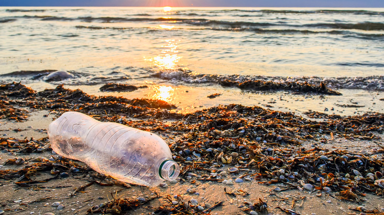 Plastic water bottle on beach