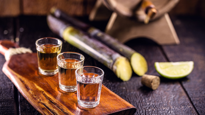 Brazilian cachaça and sugar cane 