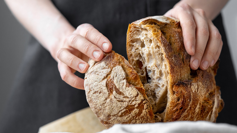 Woman breaking fresh bread loaf