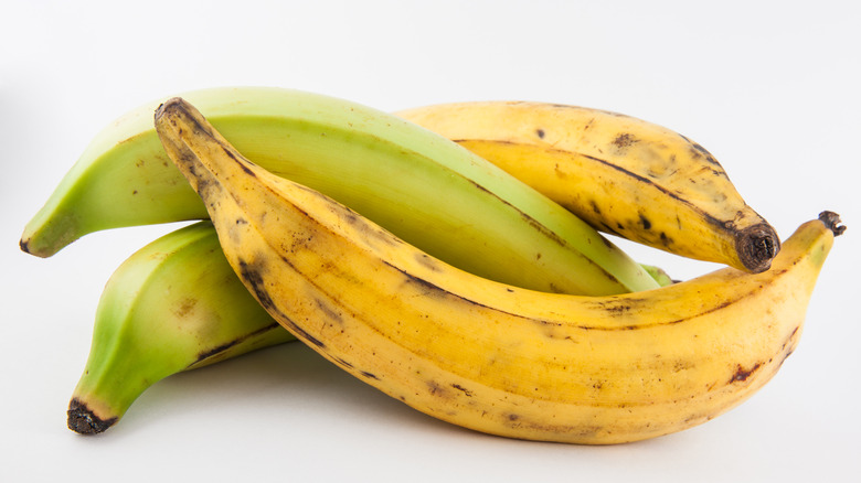 Plantains on white background