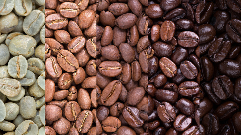 light roast to dark roast coffees