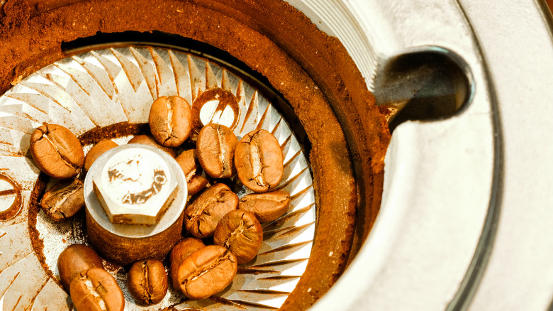 beans in a coffee grinder